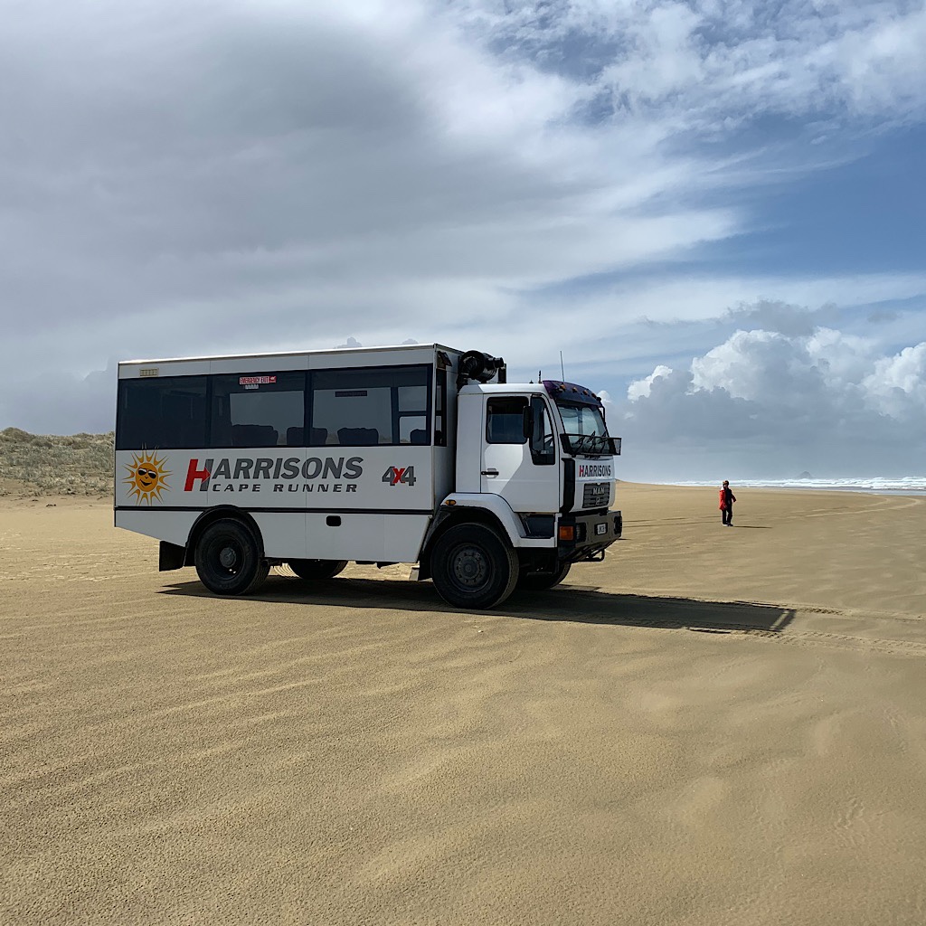 A tour bus drives right out on the beach, wondering where I came from. 