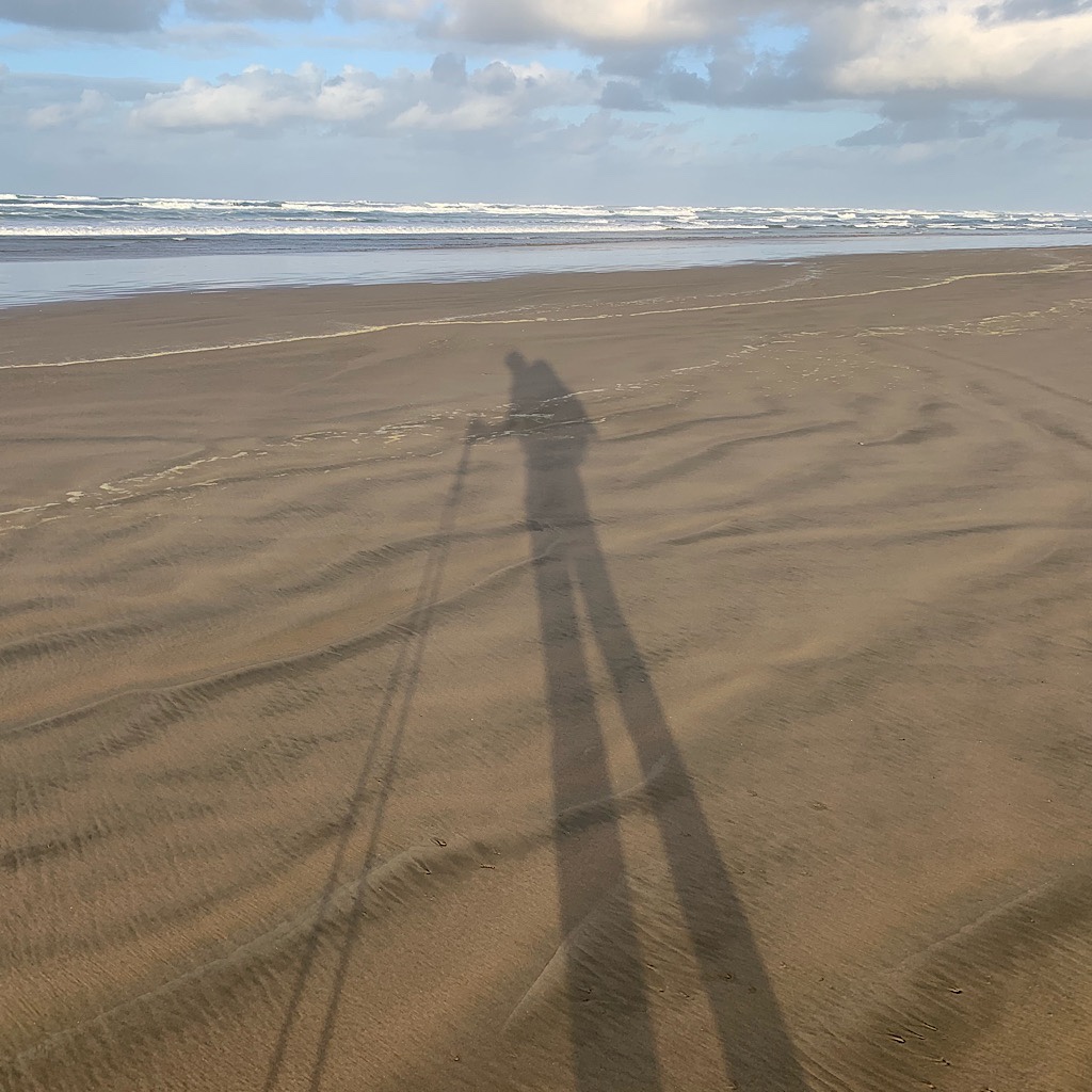 Legs like stilts on the Ninety-Mile Beach in the far, far north of New Zealand.