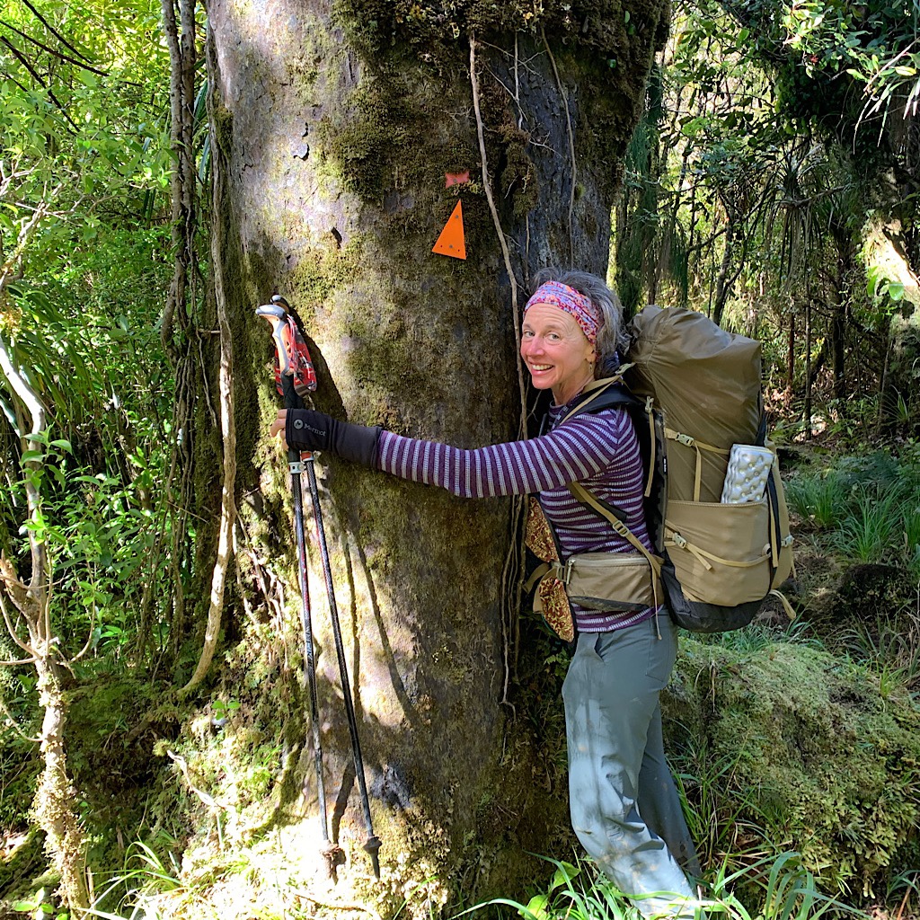 Blissful hugs a Kauri covered in supplejack vines. 