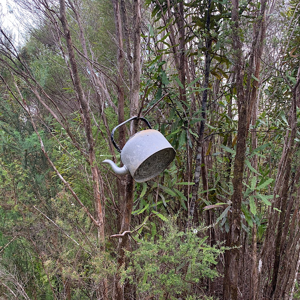 A random kettle hanging off a tree in the Raetea Forest. 
