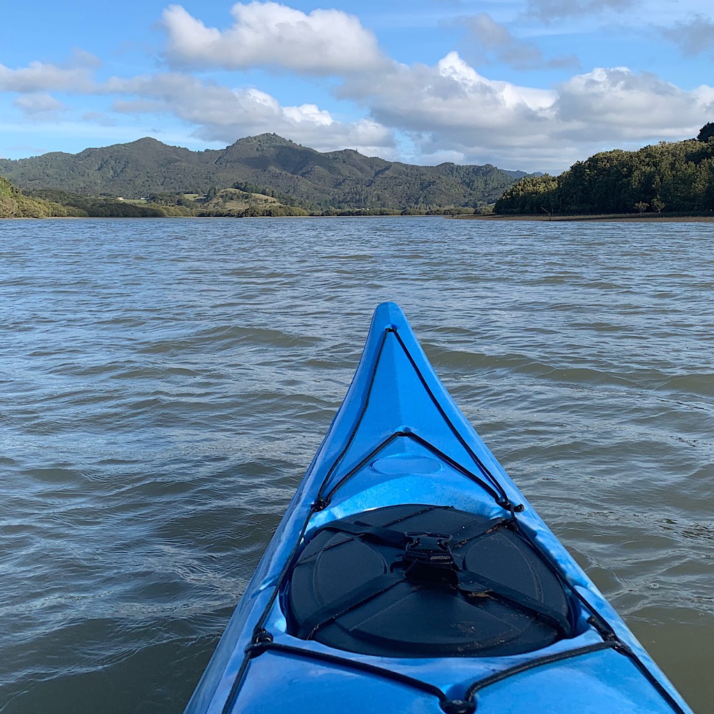 The tide pushed my kayak right up the gorgeous Waikare Estuary.