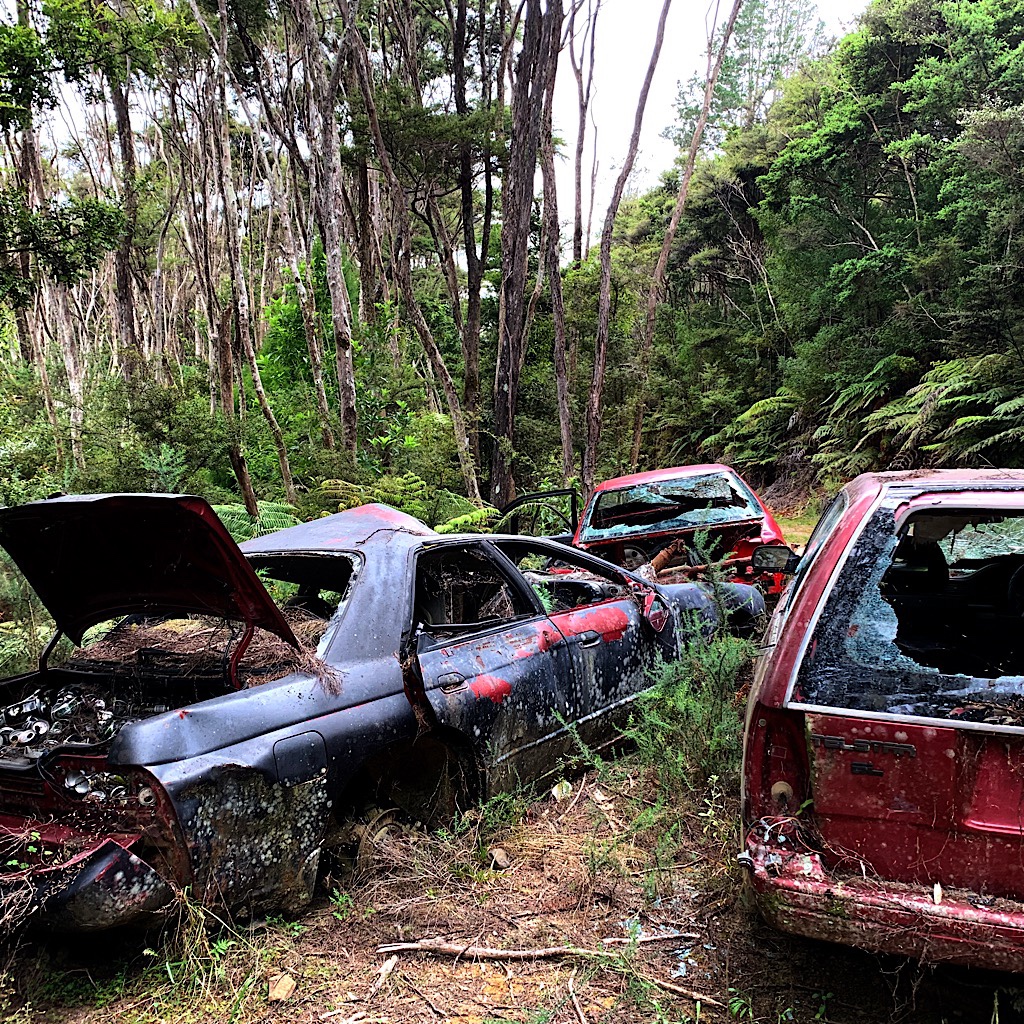 Junked cars along the Te Araroa. 
