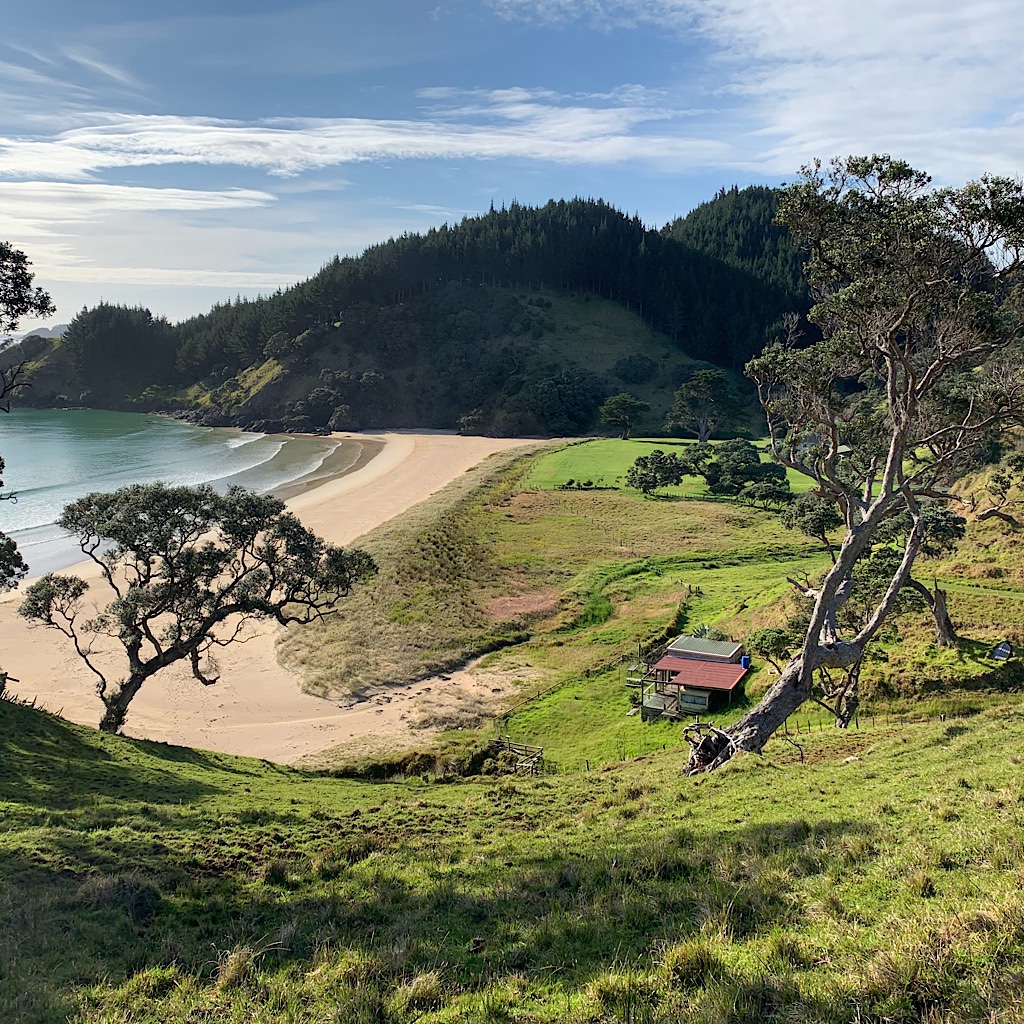 Private beaches are framed by pohutukawa on this easy tramping track. 