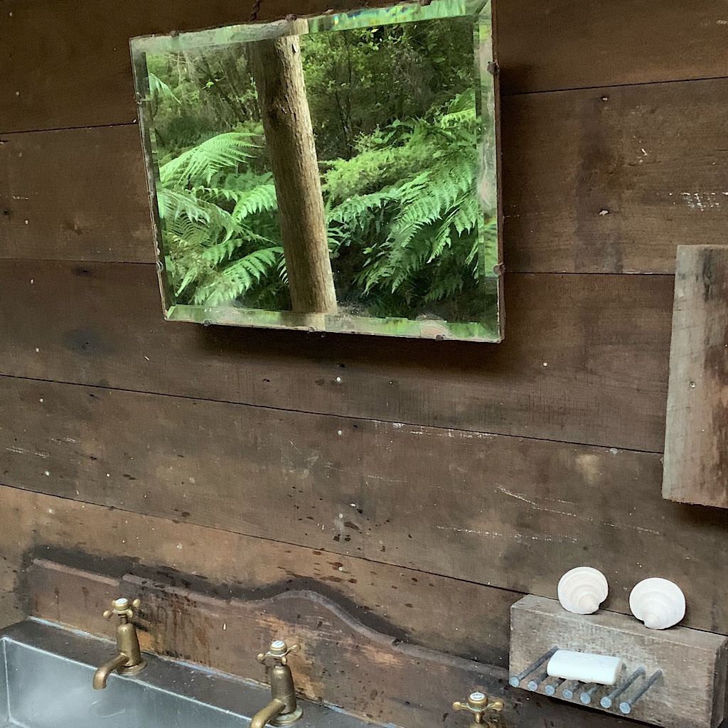 Ferns reflected in a mirror upon the communal sink at Nikau Bay Camp. 