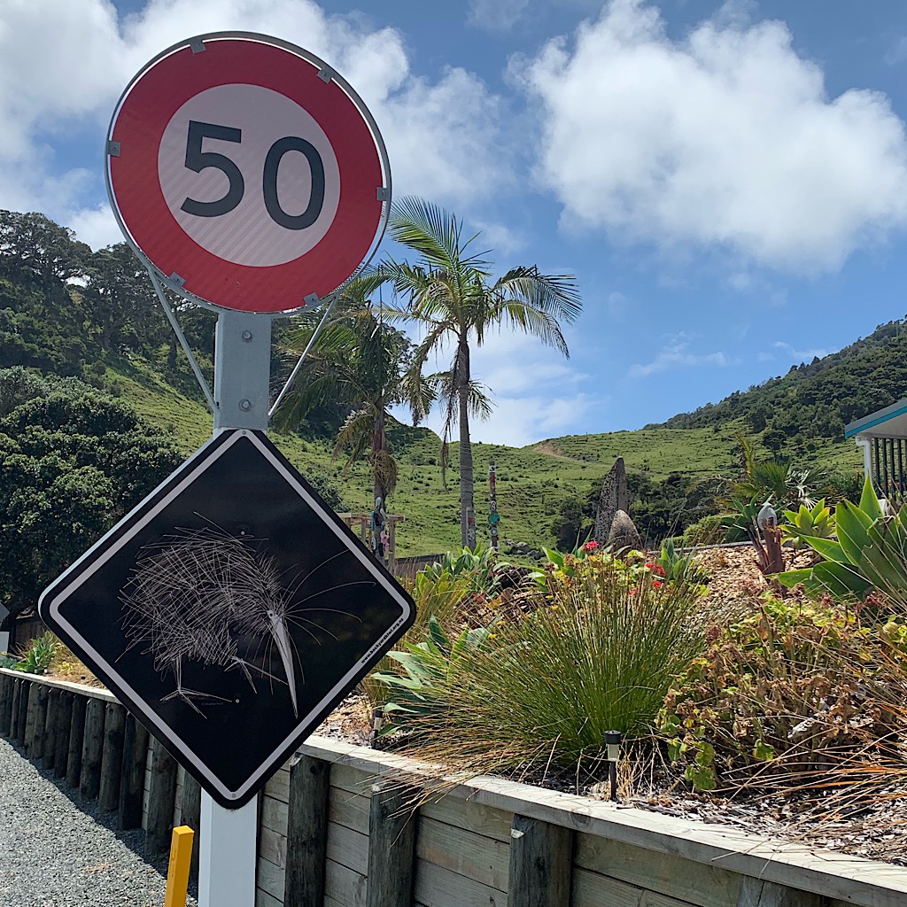 A sign warns motorists that kiwi cross here at night. 