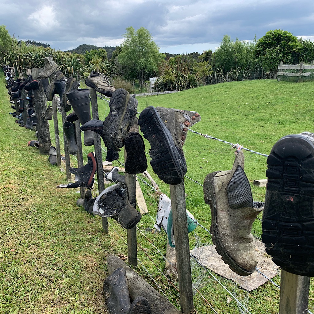 A fence of lost boots on Govan Wilson Road.