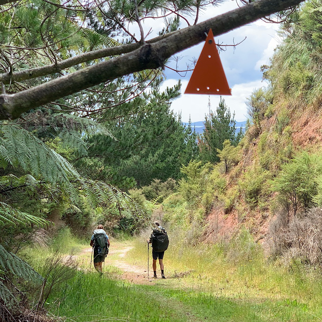 Floris and Merjolein walk ahead on the forest road under the TA marker. 