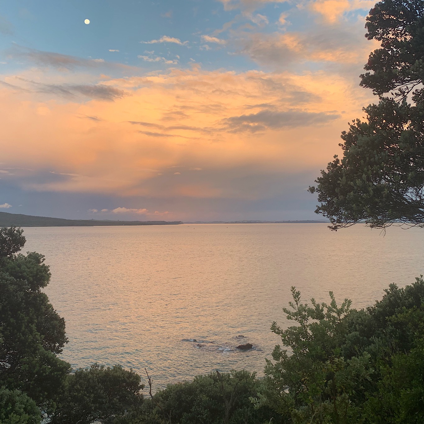 After pouring rain, the sun came out at North Head and gave me a gorgeous sunset and moon.