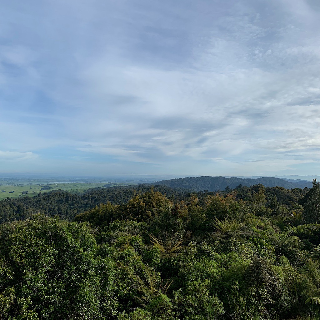 The view from the summit looking over bush-covered mountain range towards the rich farmland of Hamilton.
