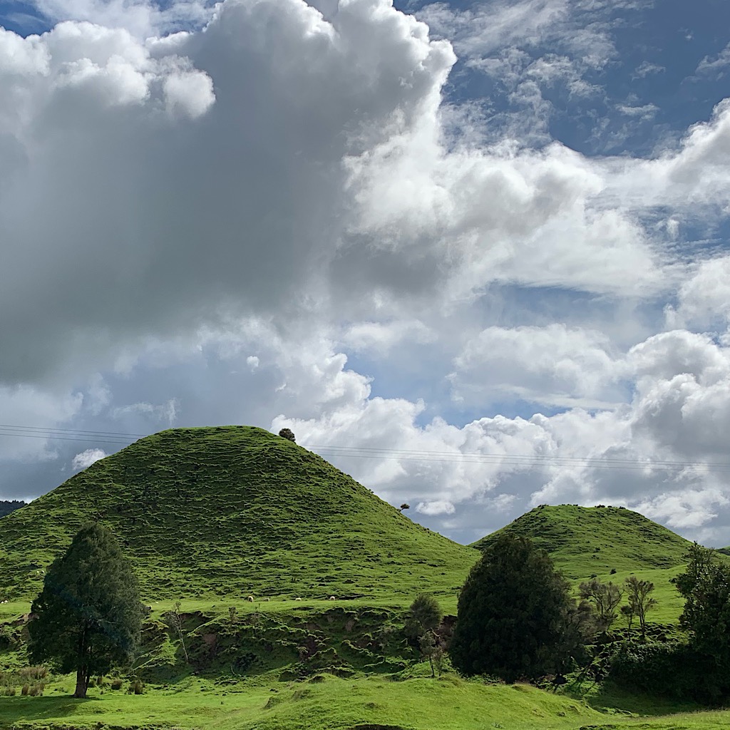 The landscape of Waikato/King Country is "karst" meaning built on sandstone with cliffs, caves and oddly shaped humps. 