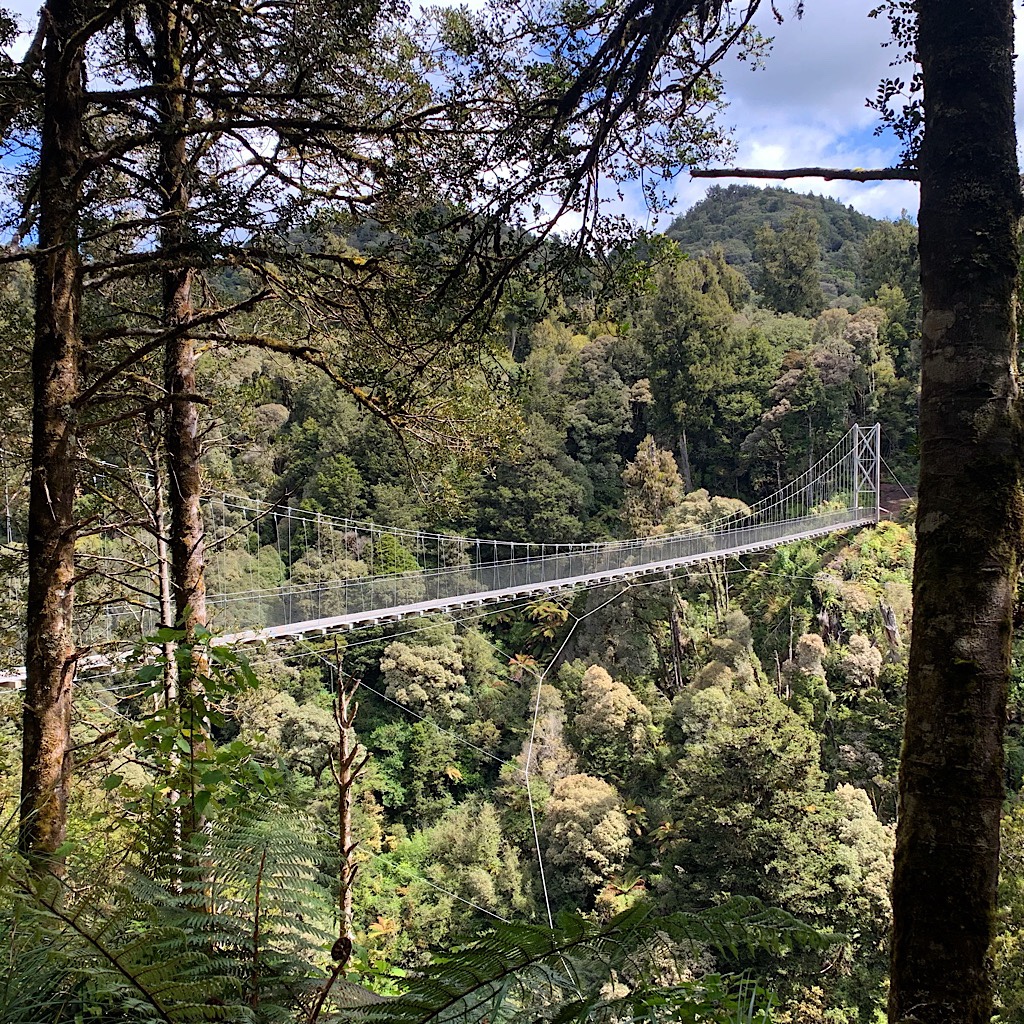 The incredible architecture of Bog Inn Creek suspension bridge shares its artistry with the bridges of Pureora's forestry past, except in the olden days, there were no handrails. 