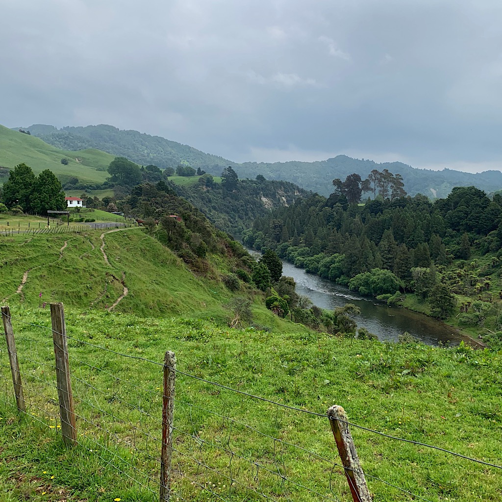 The Whanganui River from Hikumutu Road. 