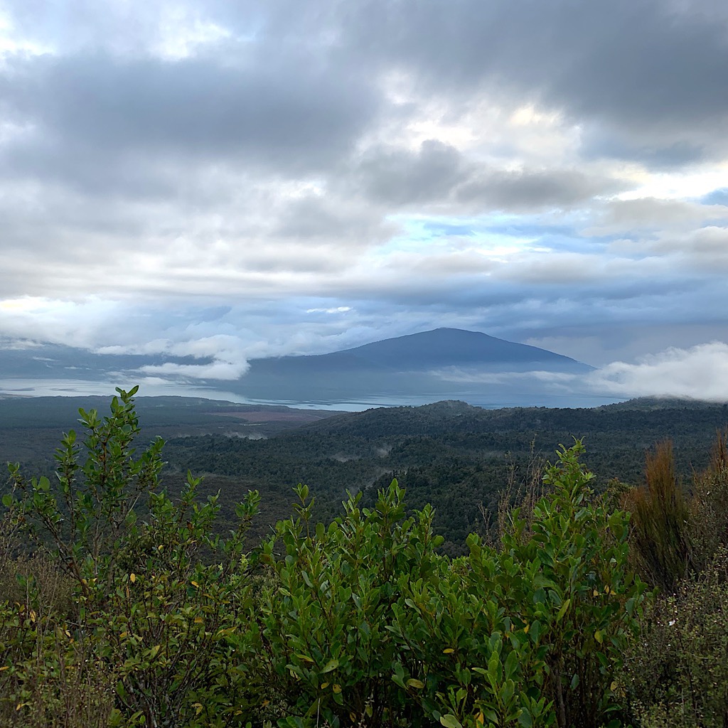 The view towards Lake Rotaira.
