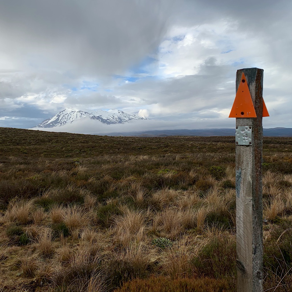 My first glimpse of Ruapehu from the Mangatepopo Track. 