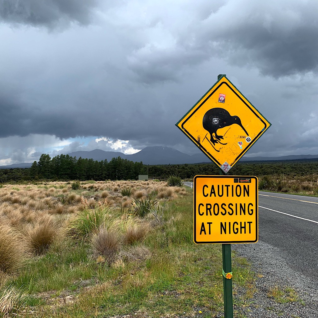 The most famous sign in New Zealand, looking back at Mount Tongariro, Mount Ngauruhoe and thunderstorms. 