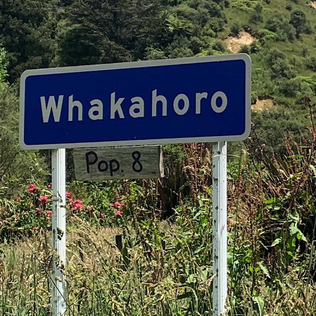 Whakahoro – pronounced fa-ka-ho-ro – is a tiny village with on the Whanganui River with camping and bunks. 