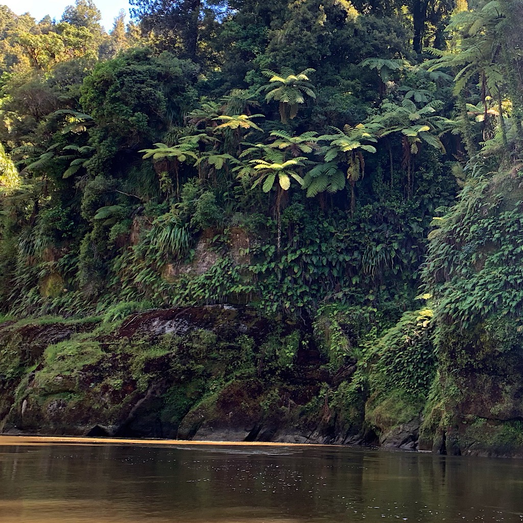 Cliffs and waterfalls surrounded us as we paddled down this magnificent river. 