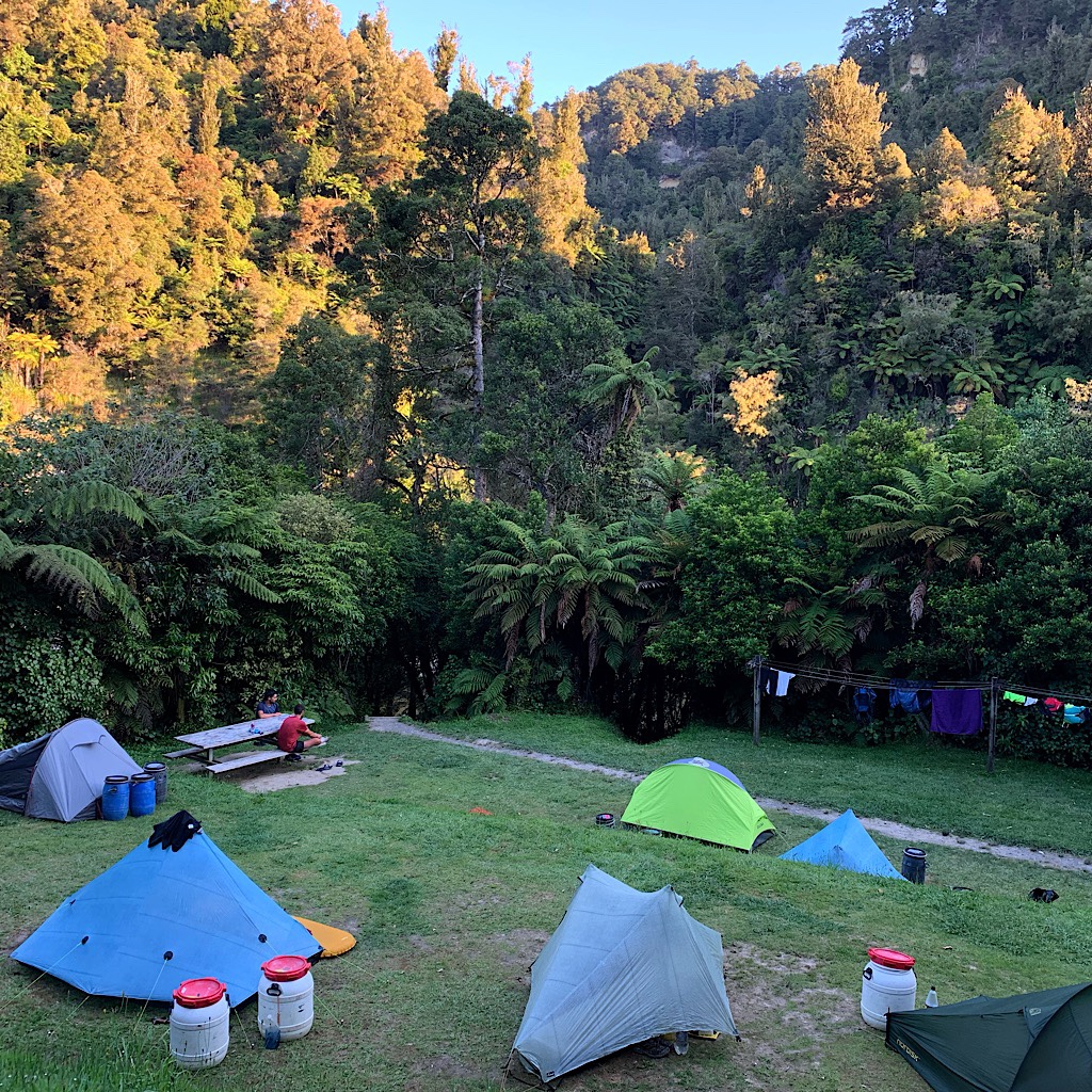 Again, I chose to camp outside rather than stay in the crowded and loud bunk house. We saw rare lesser short-tailed bats flying above us that night. 