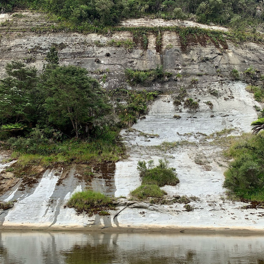 The Whanganui River meanders in snake-like coils through mudstone and waterfalls. 