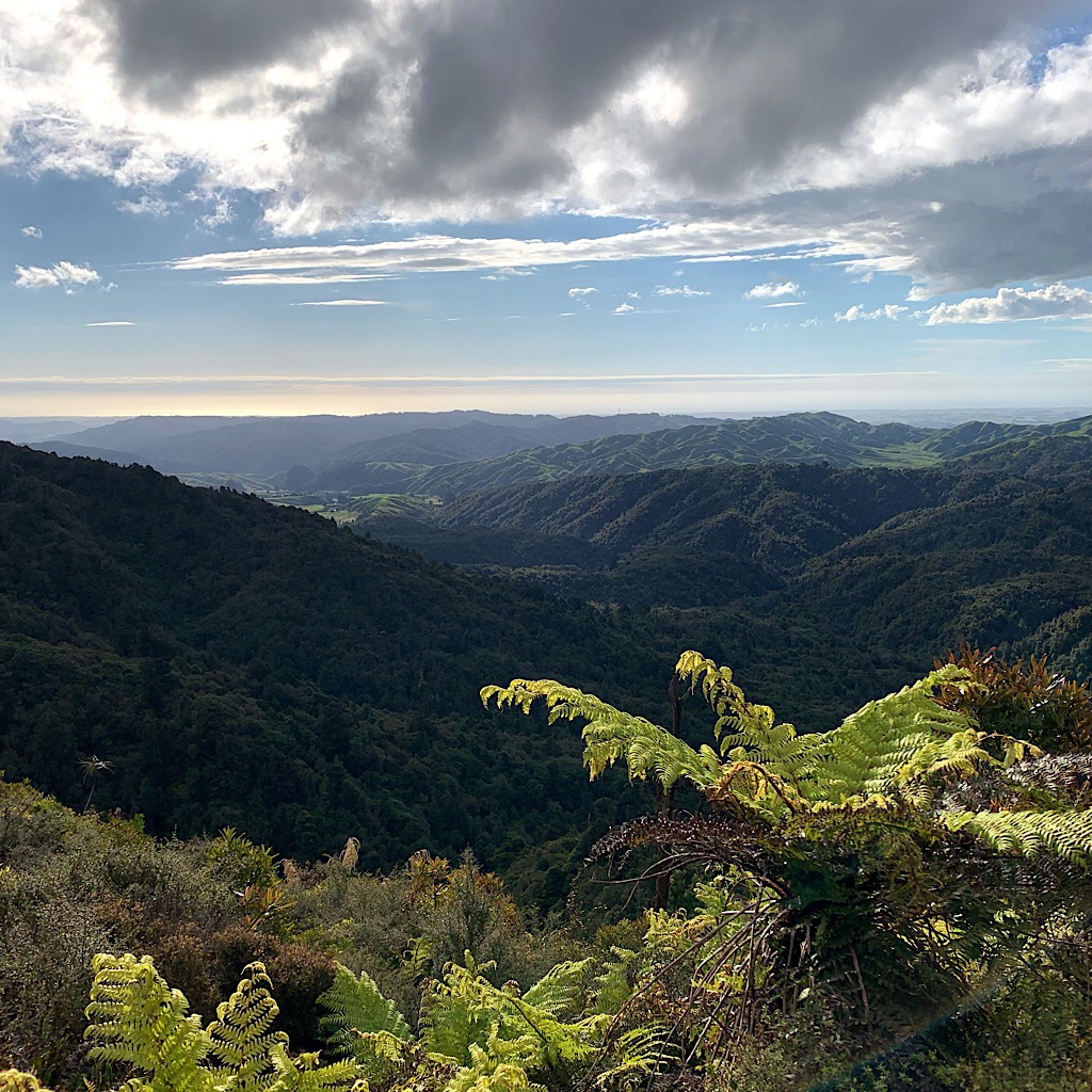 The sky cleared as Blissful reached Archey’s Lookout with the Kapiti Coast and Cook Strait in the distance. 