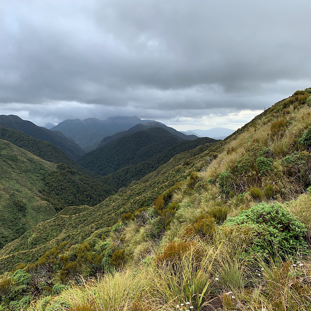 The highest point of the Tararua is Pukeamoamo, but I will only see it from a distance from the Te Aararoa.  
