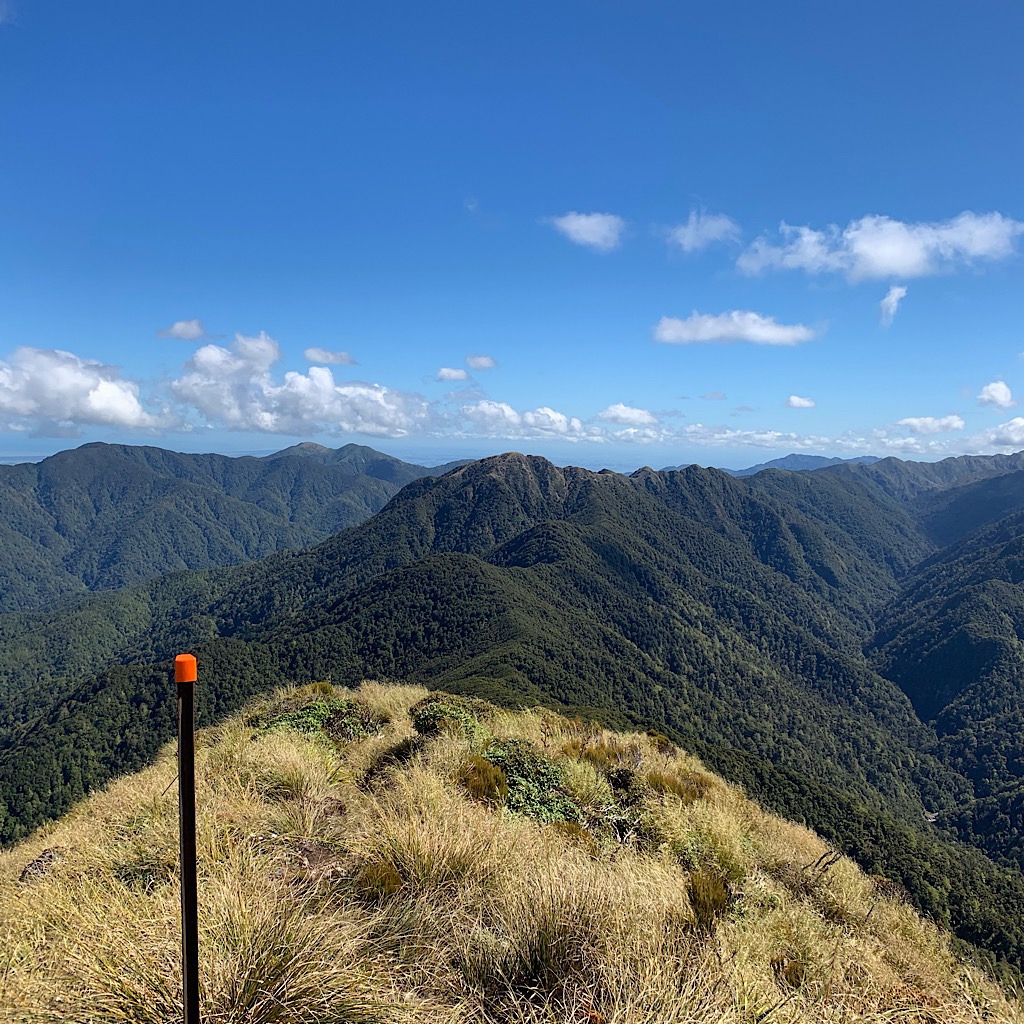 One would think the Tararua is a safe place for tramping on a day like today, only one of a handful each year. 