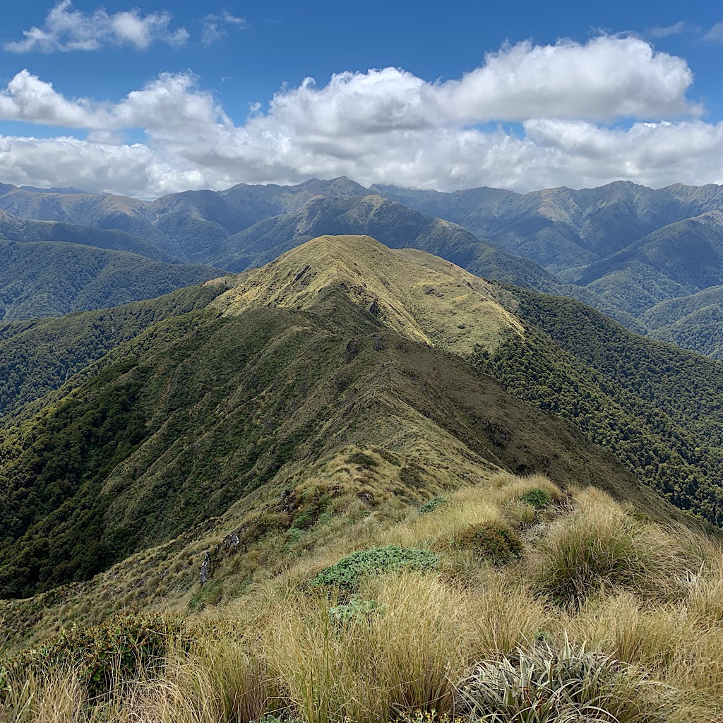 The Tararua Range is the highest point above the the Cook Strait and boasts gale force winds and snow in any season. Oftentimes, people crawl across the ridges. 