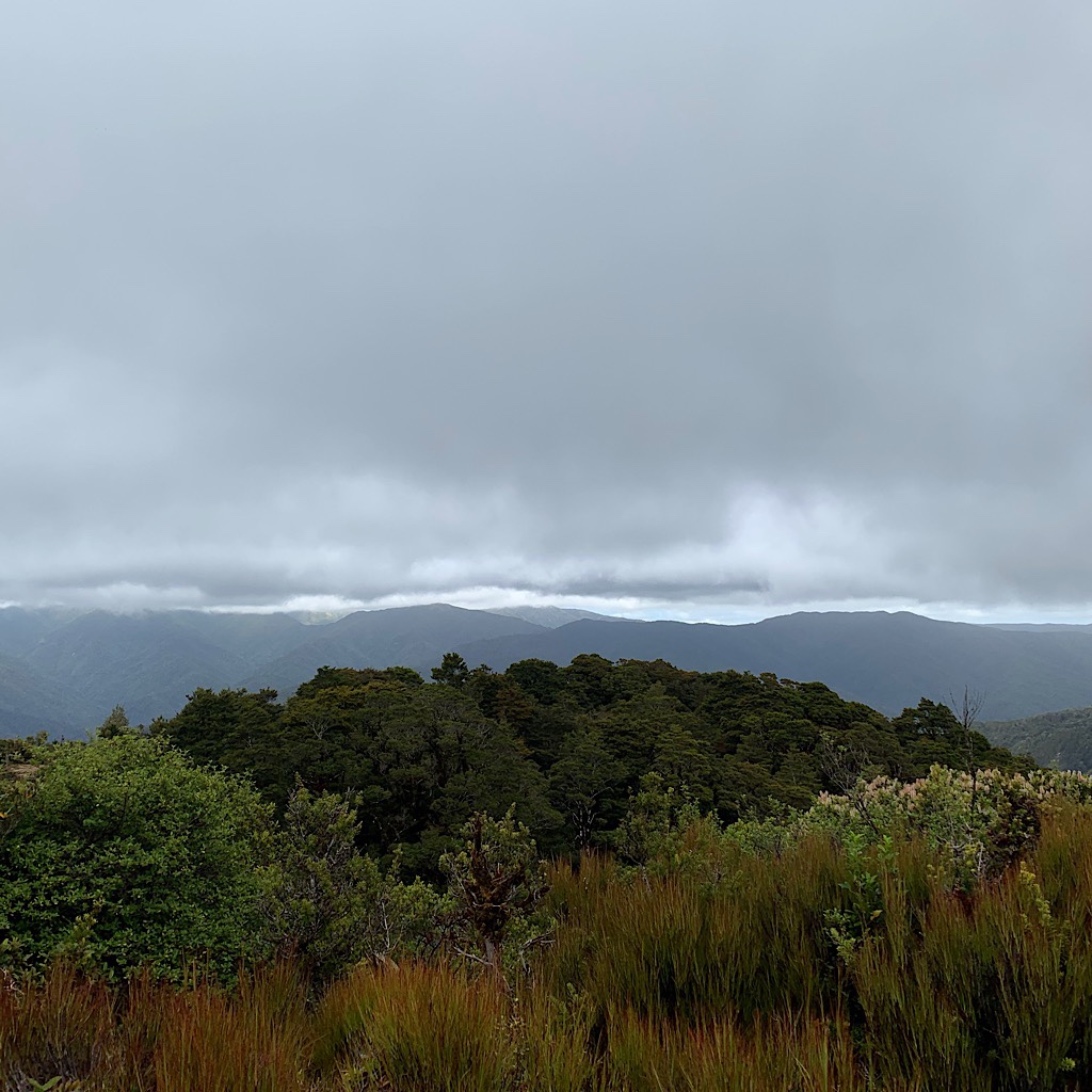 The rain never came, but the air was chilly under low hanging cloud from my lunch spot all alone through Pukeatua.