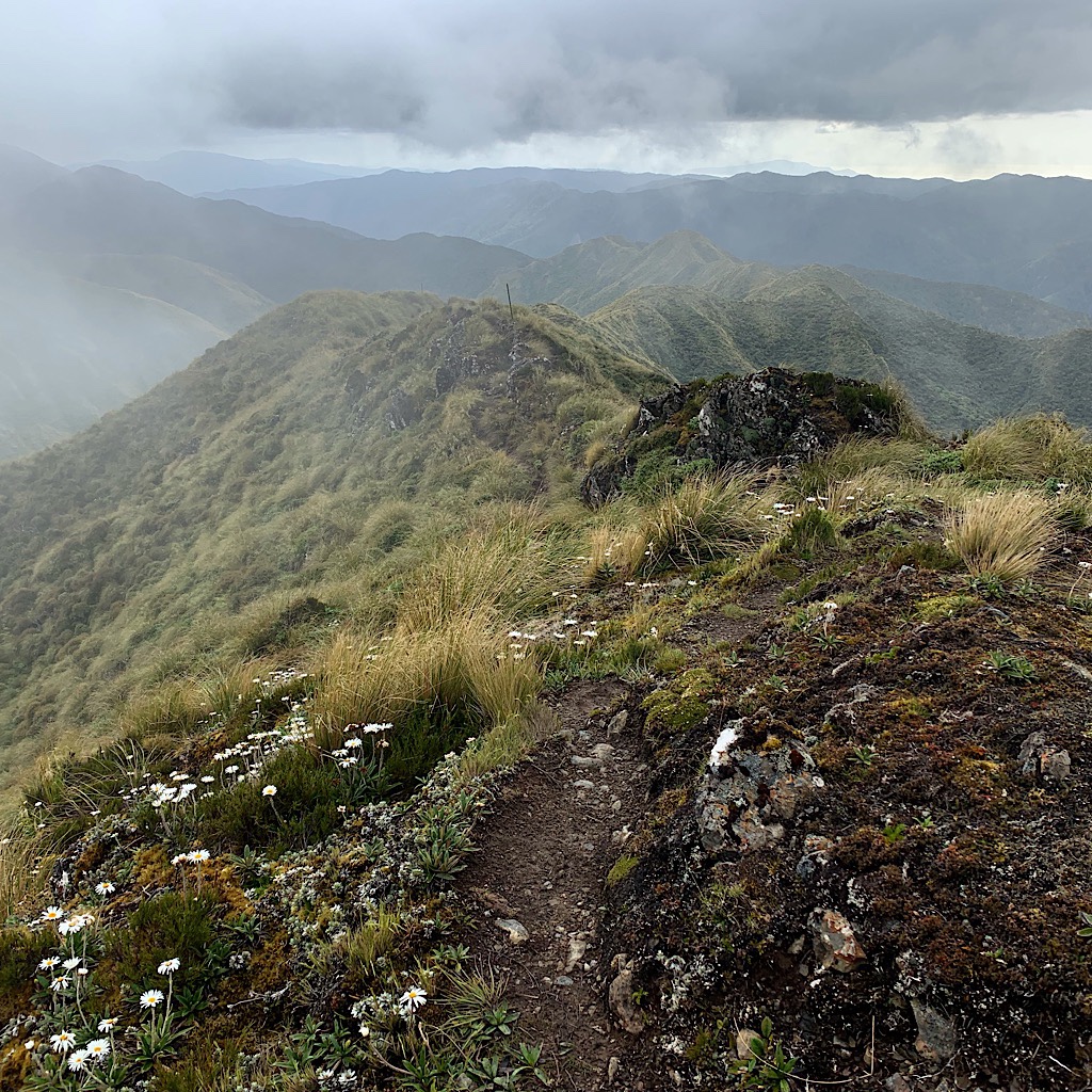 Most of the Tararua Range is crossed on the ridges in mist and high winds. 