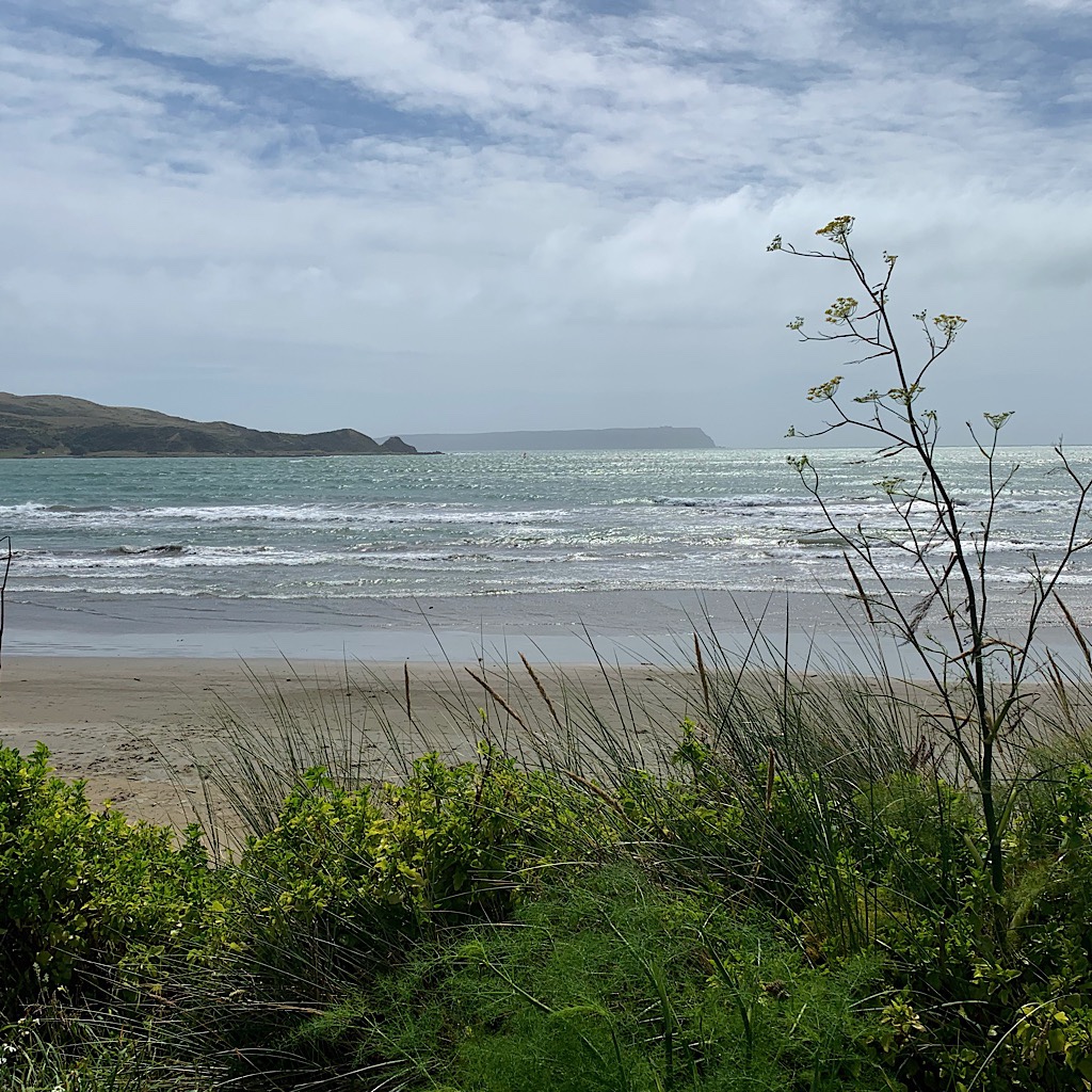 The Tasman Sea and Cook Strait from Plimmerton.