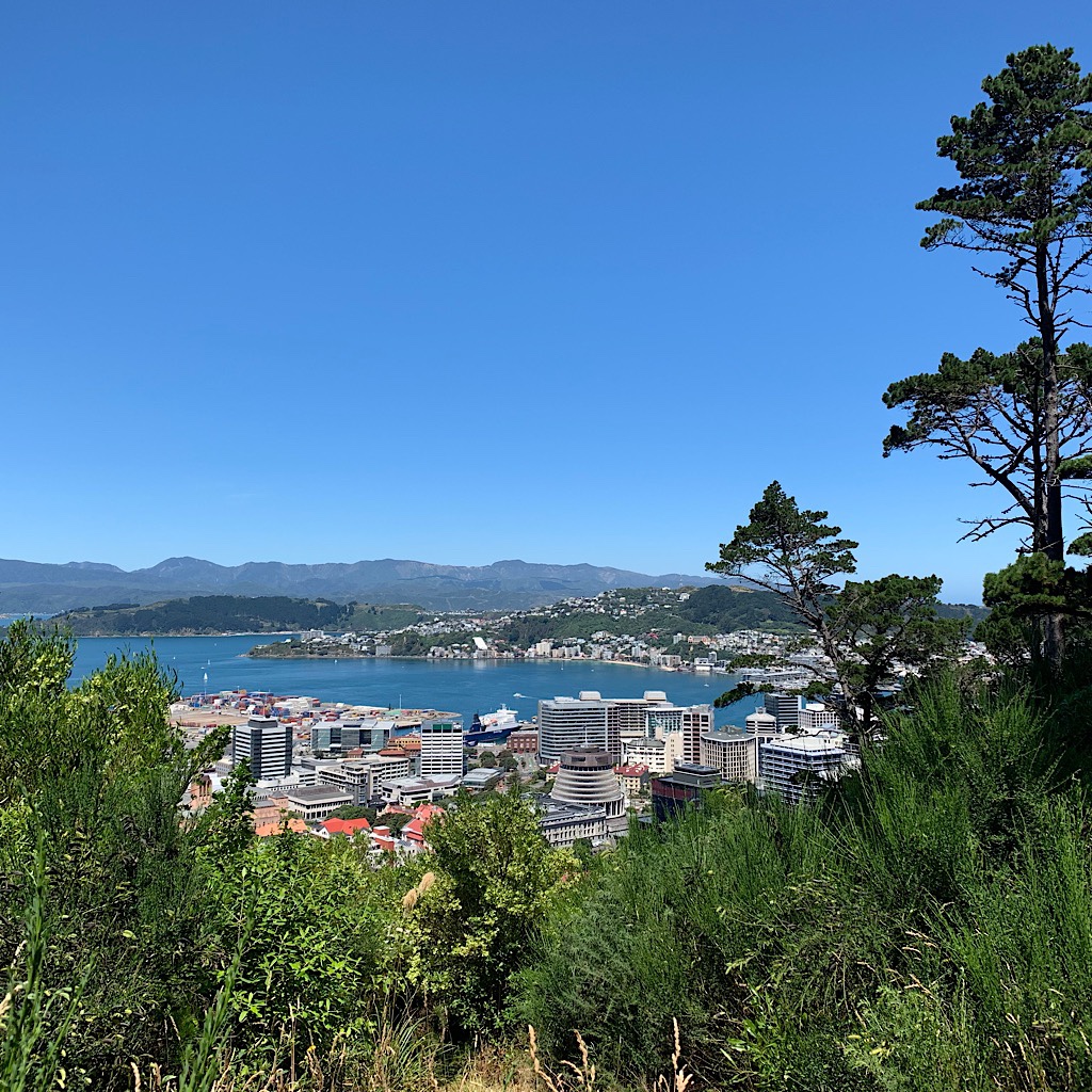 Wellington, as seen from the Green Belt, is considered the most walkable city in New Zealand. 