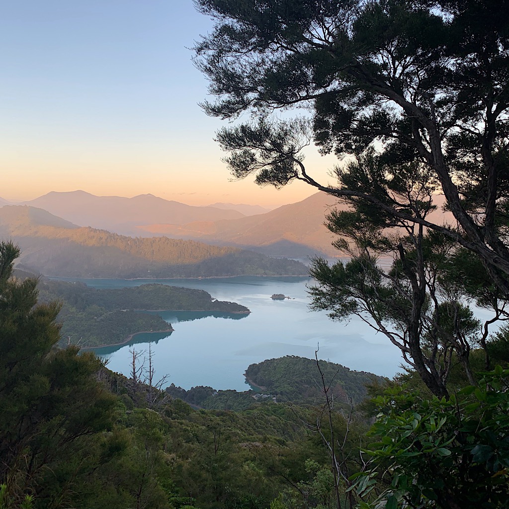 Sunrise on Pelorus Sound, the air fresh and chilly. 