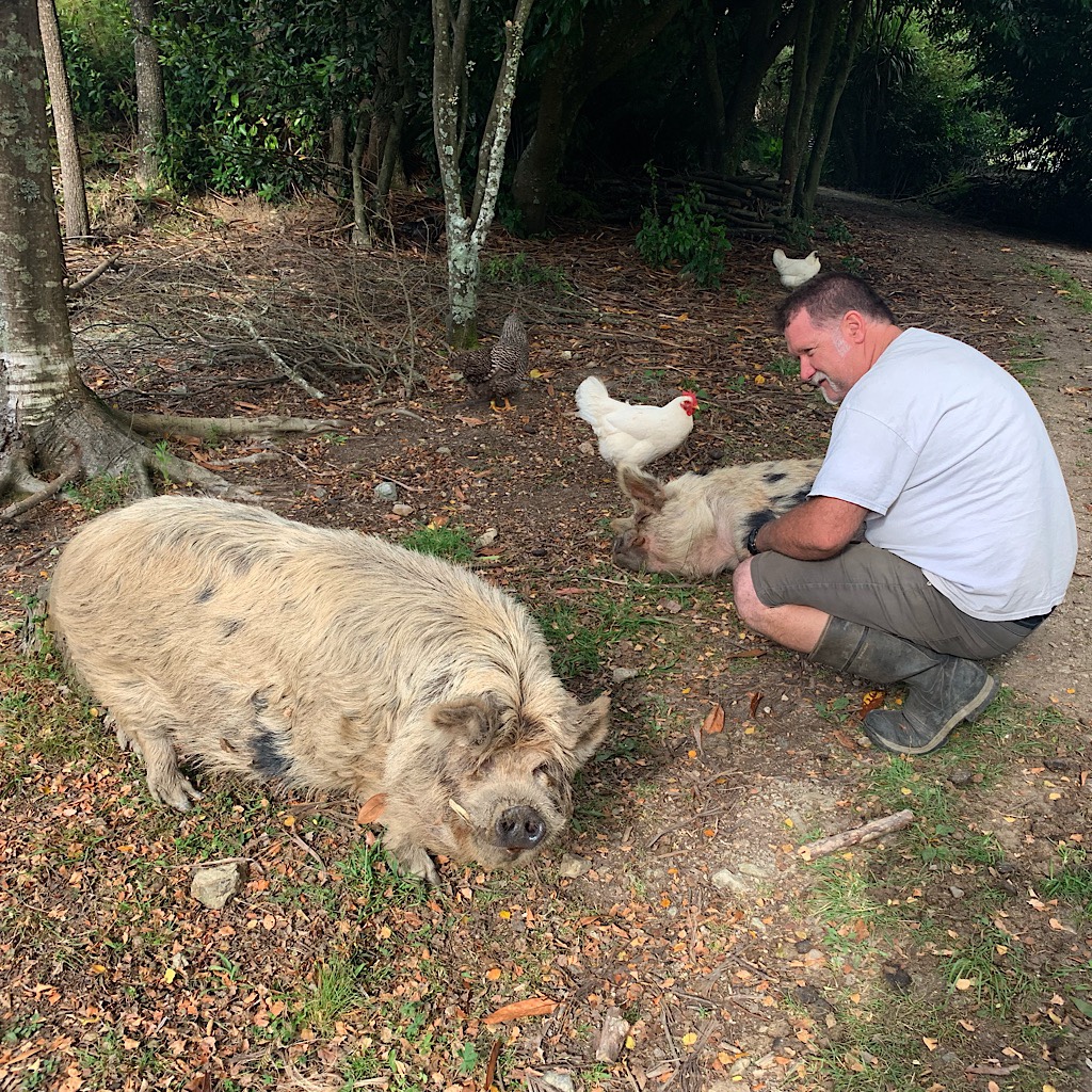 Sam with his pet pigs. Camping at their home was one of the delights of the trail. 