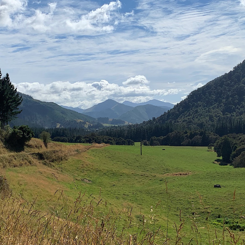 Looking towards the mountains of the Richmond Range from Dalton's Road. 
