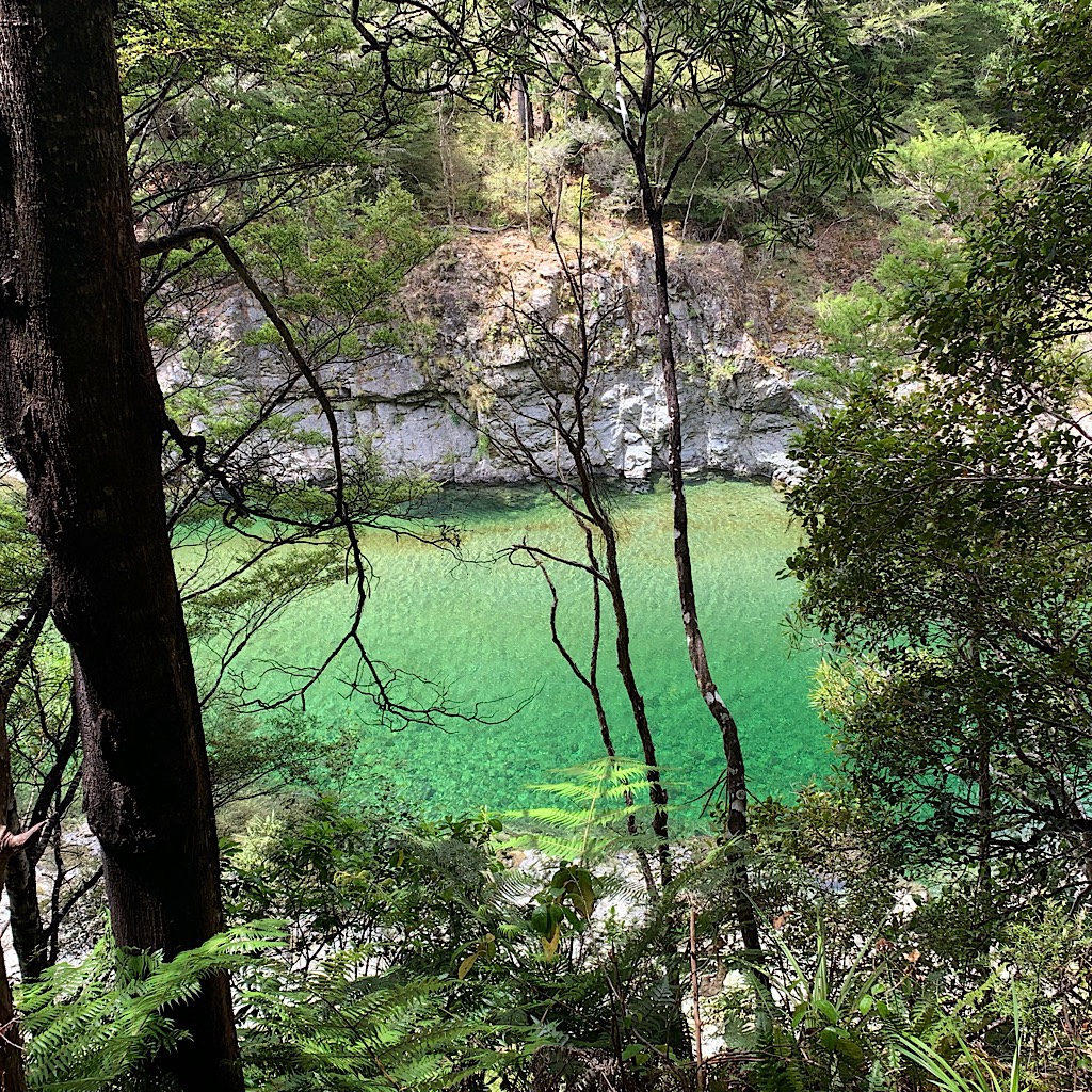 Unearthly green water surrounded by limestone and beech trees. 