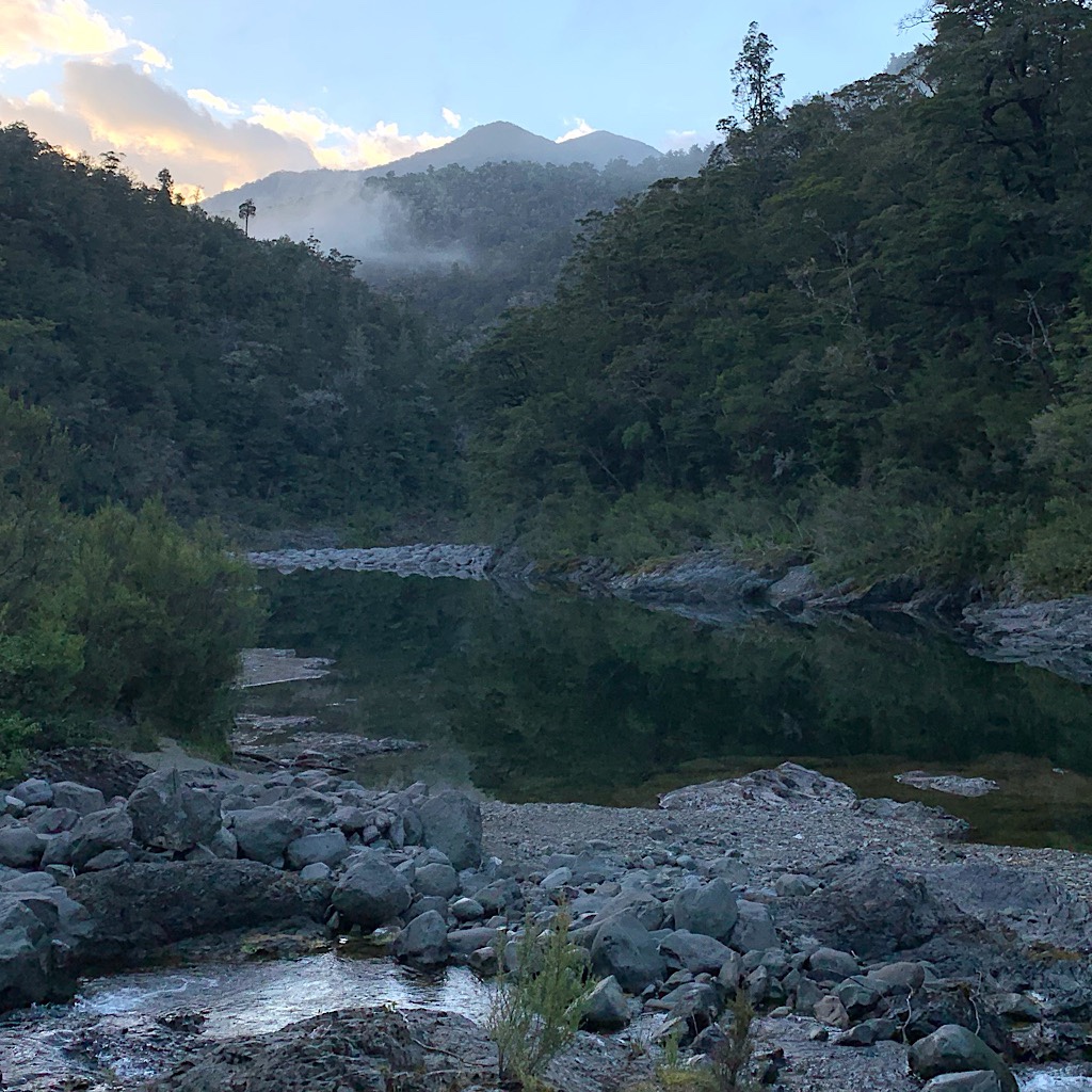 A misty morning along the Pelorus River before I climb steeply away up the Rocks Track. 