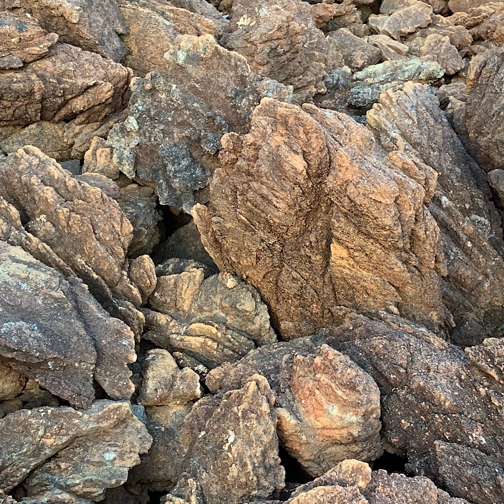 More curious rocks in the Red Hills. The magnesium-rich  soil derived is too toxic for trees.