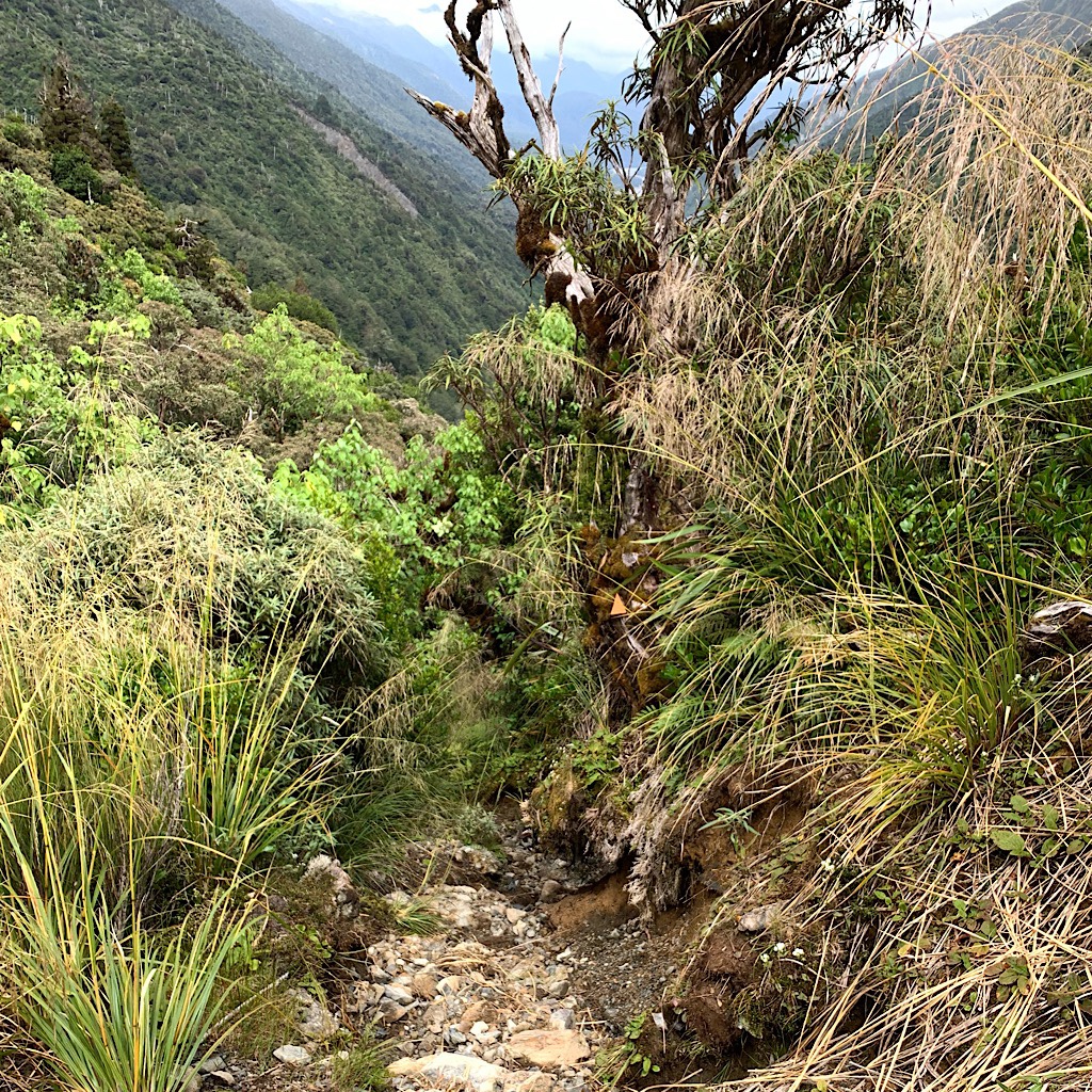 The eroding track down Harpers Pass which soon turned into a slippery and dangerous landslip. 