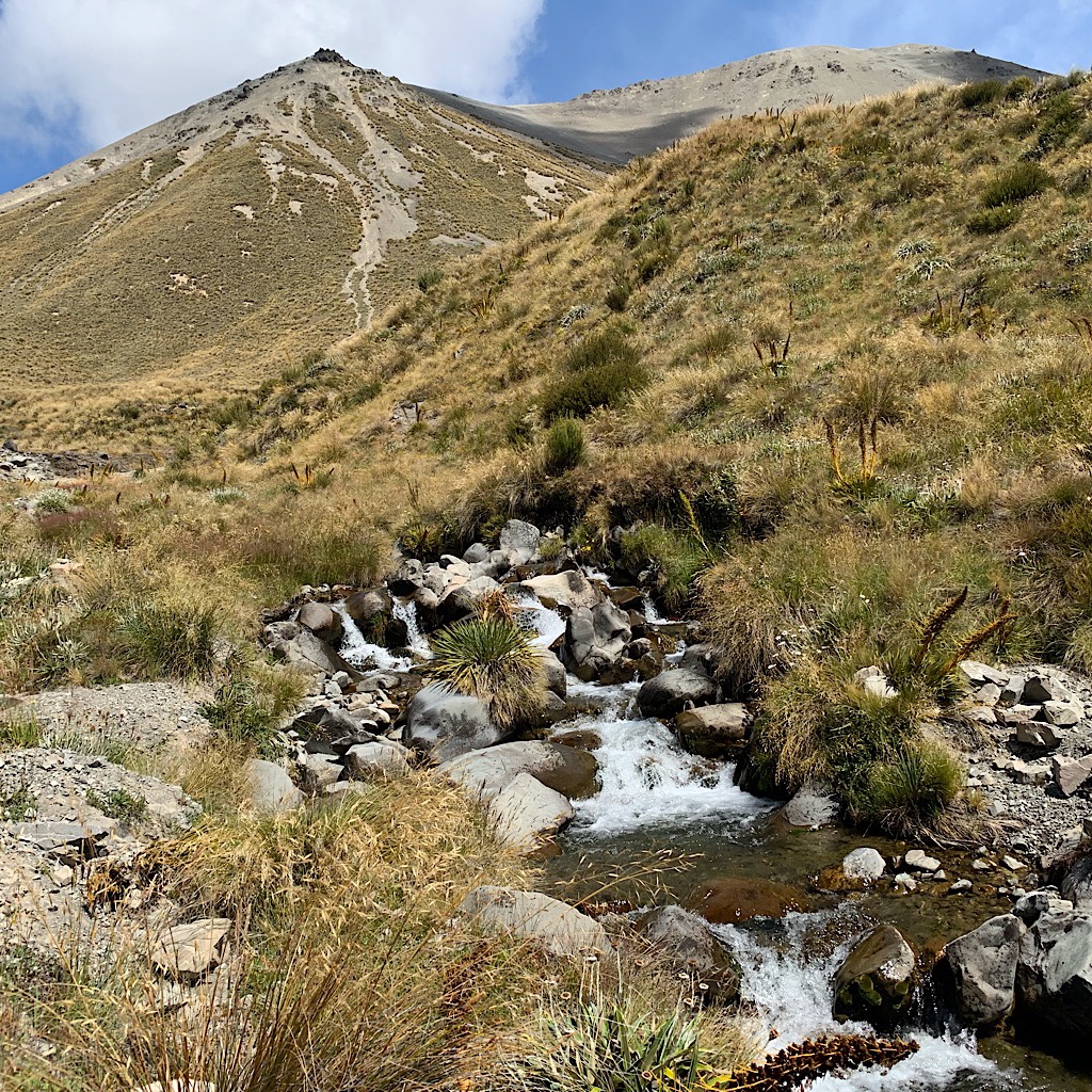 The South Island is characterized by tussock, speargrass, rock and water.