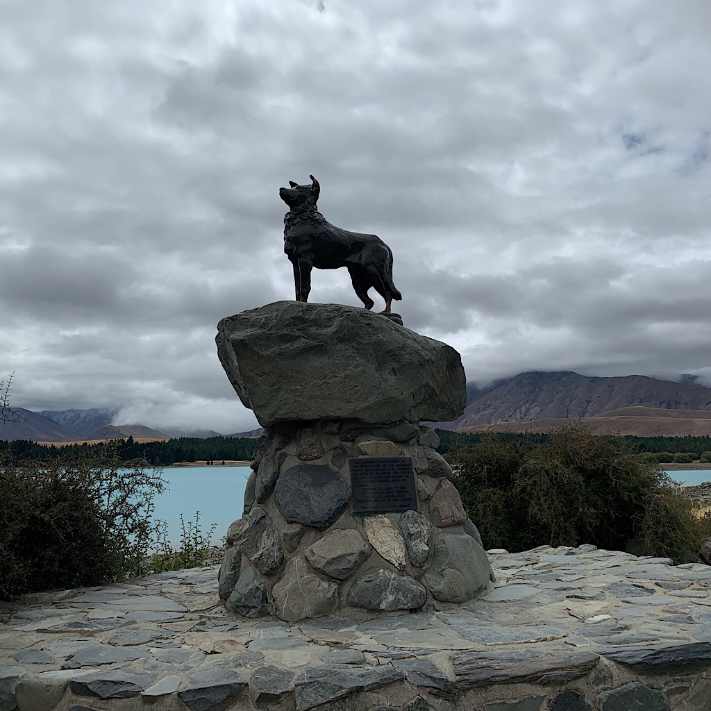 The bronze sheepdog statue commemorating the importance of working dogs to the livelihoods of the South Island shepherds. 