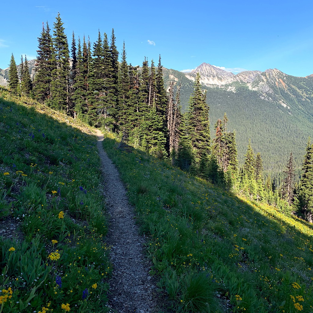 The wildflowers were extraordinary in the North Cascades. 