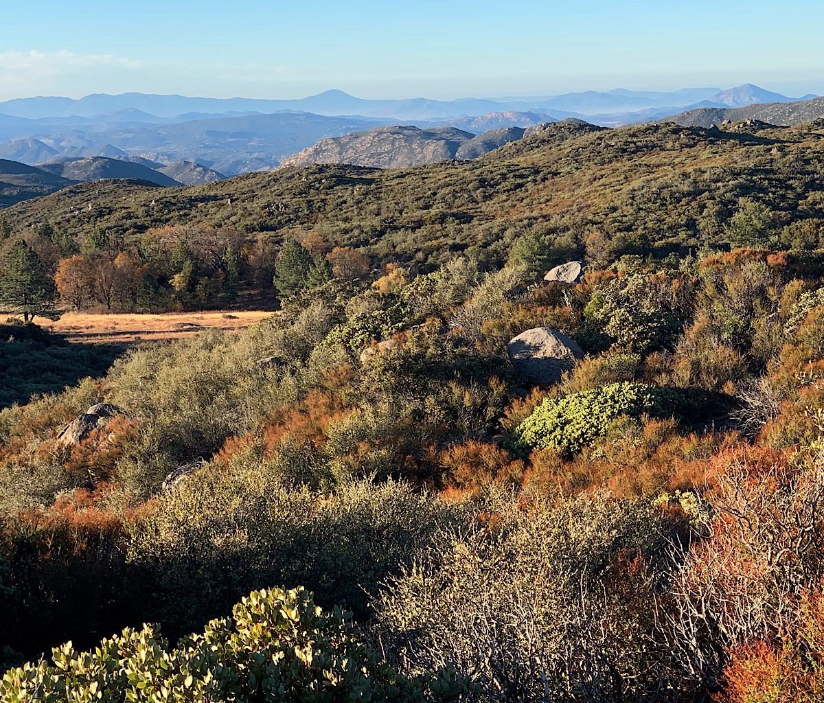 The trail leaves the forest and heads to exposed scrubland. Those distant mountains are in Mexico. 