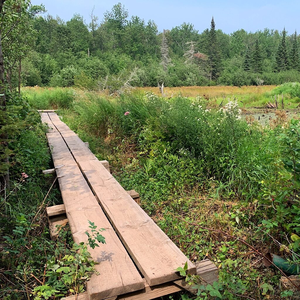 A relatively new and stable walkway over marsh.  
