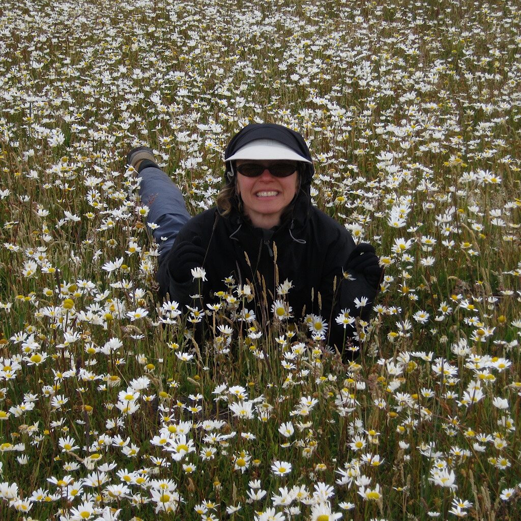 The land changed dramatically after the trail leaves the "W" circuit as demonstrated by the daisy field on the way to Camp Serón.