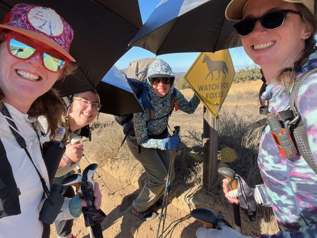 Watch for foxes - indeed! (all four foxes Jen, Jess, Blissful and Andrea)