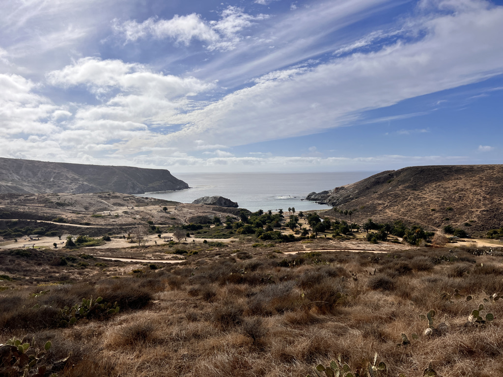 Little Harbor full of palms.