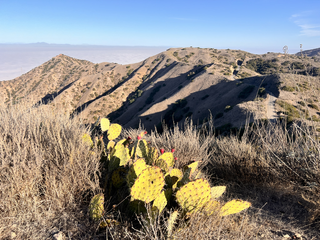 Expansive views from Catalina Island back to the San Gabriel Mountains east of Los Angeles. All day, we had a cloud inversion like white cotton balls covering the Pacific Ocean. 