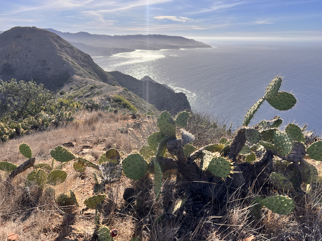 The view from the Lobster Harbor Lookout. 