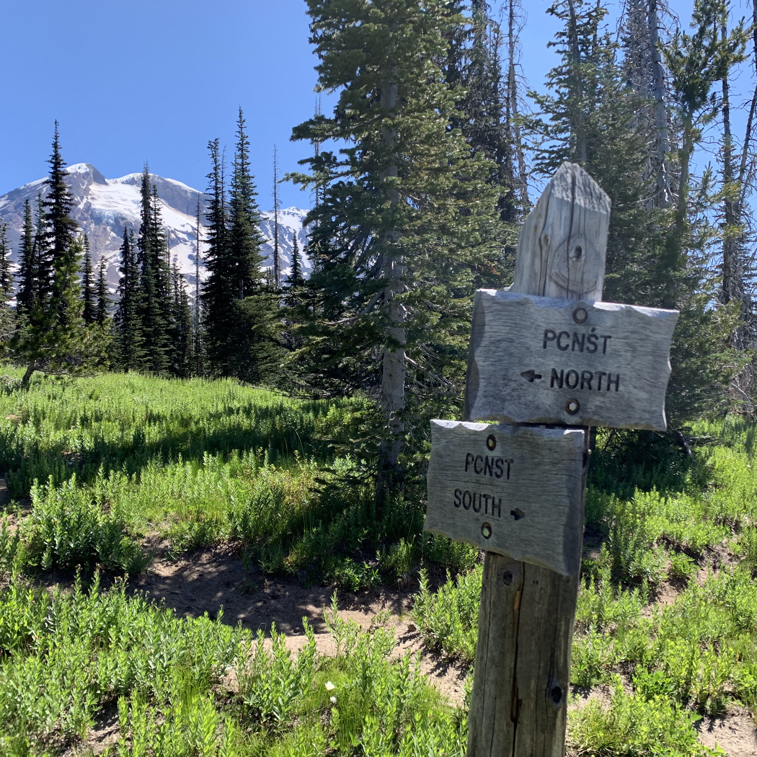 I blew right past these signs which showed the PCT taking a sharp right turn and heading down the mountain. 