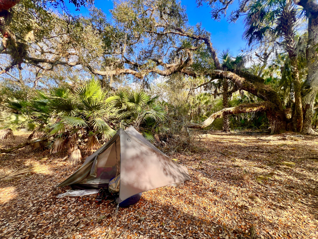 My glorious little site in the hammock. I had a few drops of rain plus a couple of insane barred owl caterwauling and a pack of coyotes. Heaven!